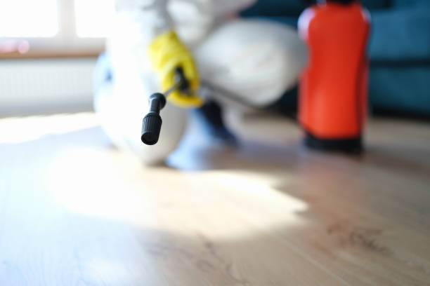Best Basement Mold Removal  in University Of Pittsburgh Johnstown, PA